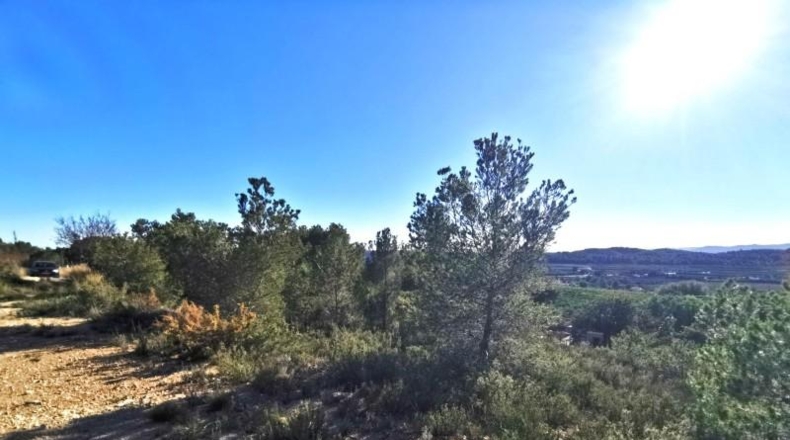 Valencia - Pedralba - 657m2