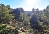 Parcela urbanizable en venta en la España, Pedralba, ref: TR219802 foto