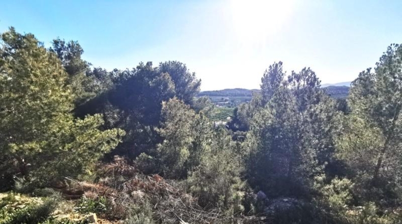 Valencia - Pedralba - 657m2