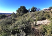 Parcela urbanizable en venta en la España, Pedralba, ref: TR219802 foto