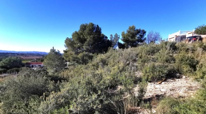Valencia - Pedralba - 657m2