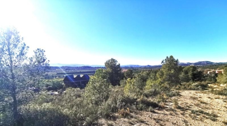 Valencia - Pedralba - 657m2