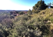 Parcela urbanizable en venta en la España, Pedralba, ref: TR219802 foto
