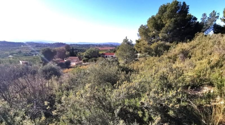 Valencia - Pedralba - 657m2