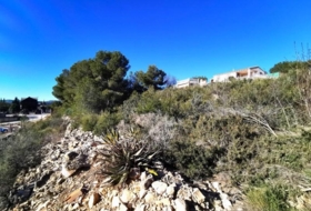 Foto 13