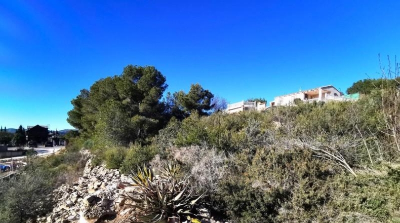 Valencia - Pedralba - 657m2
