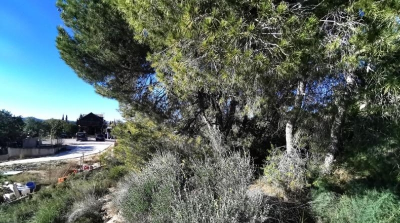 Valencia - Pedralba - 657m2