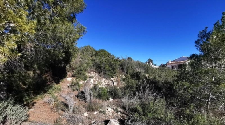 Valencia - Pedralba - 657m2