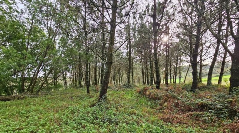 La Coruña - Santiago de Compostela - 13520m2