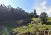 Parcel·la urbanitzable en venda a la España, Alcolea, ref.: TR317586 foto