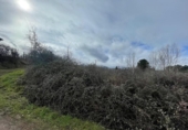Xalet independent amb terreny en venda a la España, Ponferrada, ref.: TR291257 foto