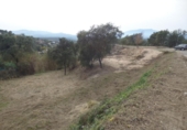 Terreno no urbanizable en venta en la España, Maçanet de la Selva, ref: TR131987 foto