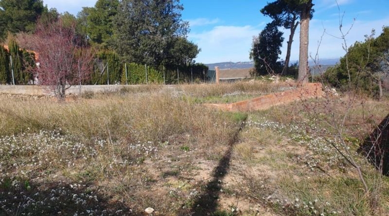 Barcelona - Carme - 559m2