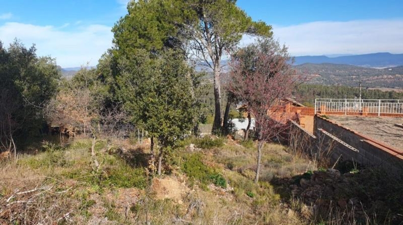 Barcelona - Carme - 559m2