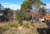 Suelo urbano en venta en la España, Carme, ref: TR132392 foto