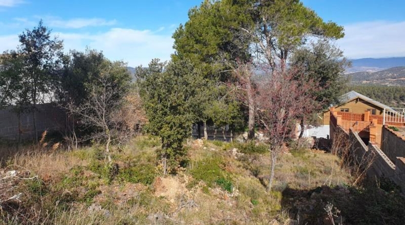 Barcelona - Carme - 559m2