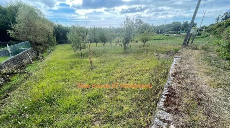 Pontevedra - Porriño - 1181m2