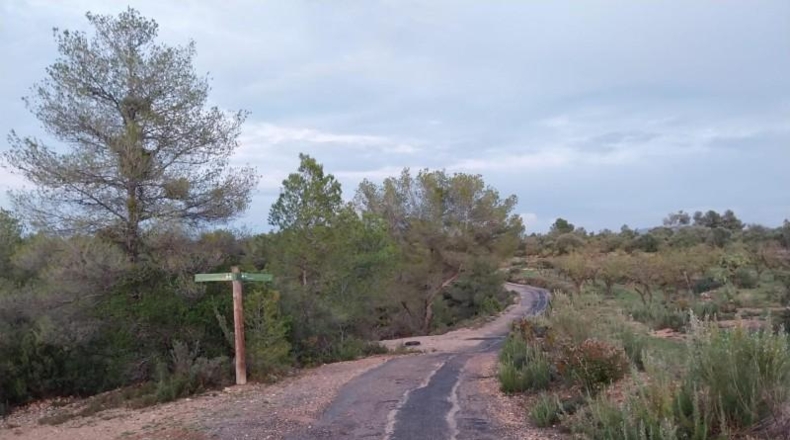 Tarragona - la Torre de l'Espanyol - 72169m2