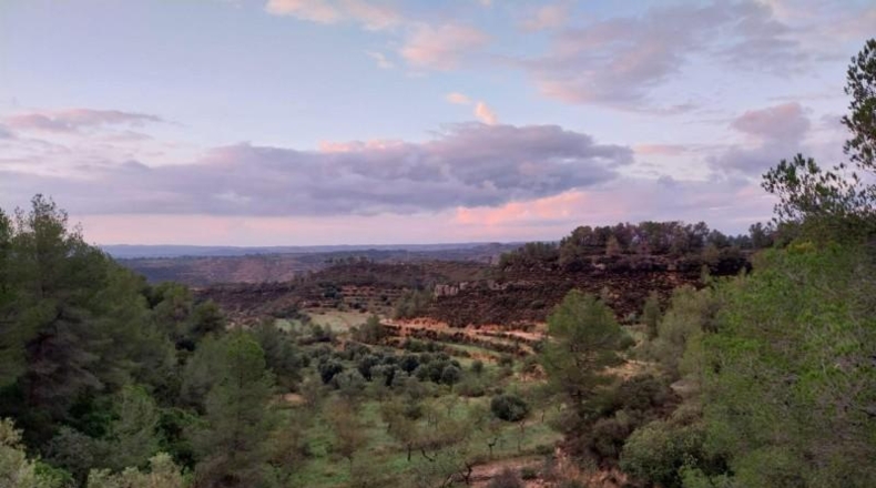 Tarragona - la Torre de l'Espanyol - 72169m2