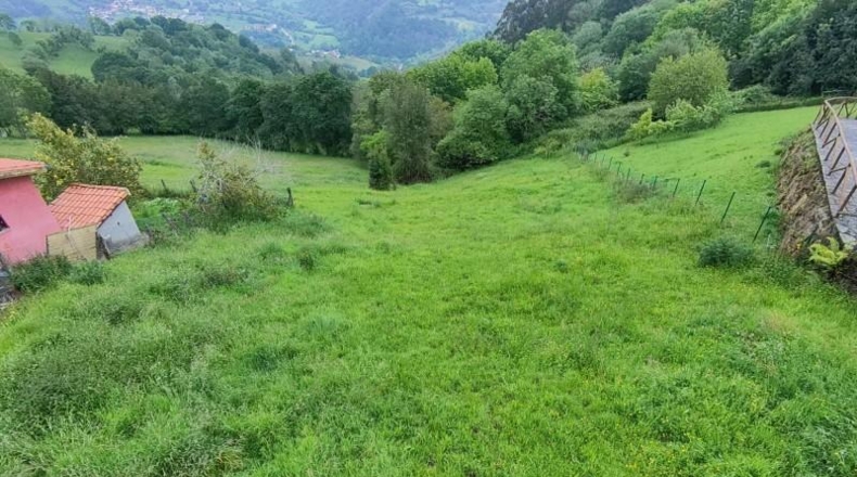 Asturias - Carranques - 953m2