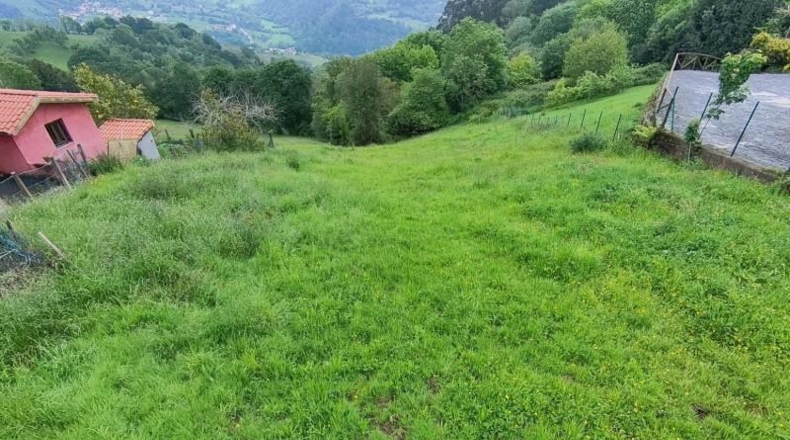 Asturias - Carranques - 953m2