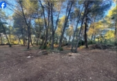 Terreno no urbanizable en venta en la España, el Pla de Santa Maria, ref: TR370850 foto