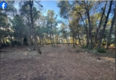 Terreno no urbanizable en venta en la España, el Pla de Santa Maria, ref: TR370850 foto