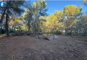 Terreno no urbanizable en venta en la España, el Pla de Santa Maria, ref: TR370850 foto