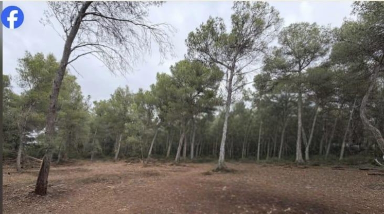 Tarragona - el Pla de Santa Maria - 15000m2