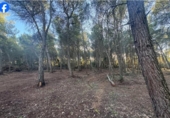 Terreno no urbanizable en venta en la España, el Pla de Santa Maria, ref: TR370850 foto