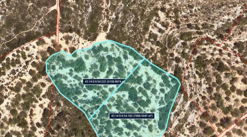 Tarragona - Amposta - 12227m2