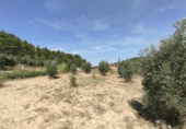 Xalet independent amb terreny en venda a la España, Vall-de-roures, ref.: TR398709 foto