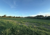 Terreno no urbanizable en venta en la España, Sant Joan, ref: TR358087 foto