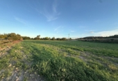 Terreno no urbanizable en venta en la España, Sant Joan, ref: TR358087 foto
