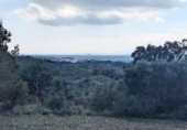 Terreno no urbanizable en venta en la España, Garriguella, ref: TR231841 foto