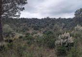Terreno no urbanizable en venta en la España, Garriguella, ref: TR231841 foto