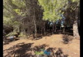 Terreno no urbanizable en venta en la España, Otívar, ref: TR289029 foto