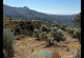 Terreno no urbanizable en venta en la España, Otívar, ref: TR289029 foto