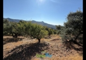 Terreno no urbanizable en venta en la España, Otívar, ref: TR289029 foto