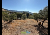Terreno no urbanizable en venta en la España, Otívar, ref: TR289029 foto