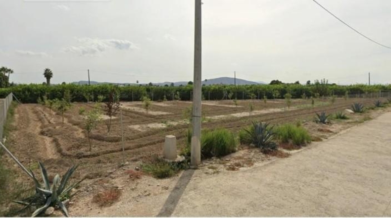Alicante - Orihuela - 1735m2