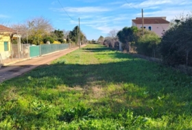 Castellón de la Plana 2616&nbsp;m²