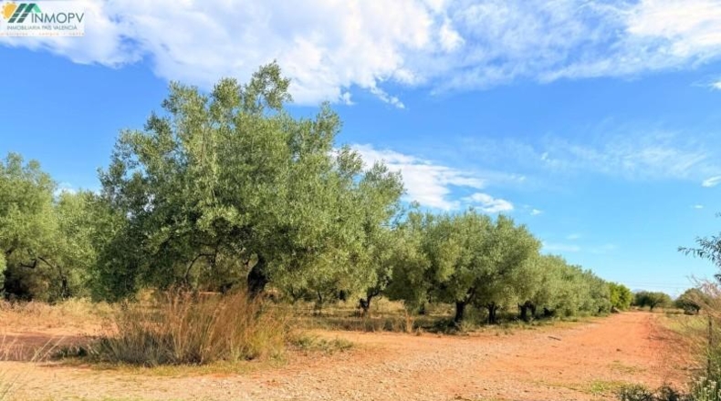 Castellón - Peñíscola - 3900m2