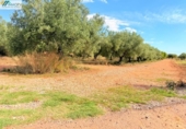 Terreno no urbanizable en venta en la España, Peñíscola, ref: TR412307 foto