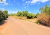 Terreno no urbanizable en venta en la España, Peñíscola, ref: TR412307 foto