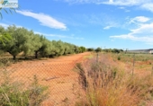 Terreno no urbanizable en venta en la España, Peñíscola, ref: TR412307 foto