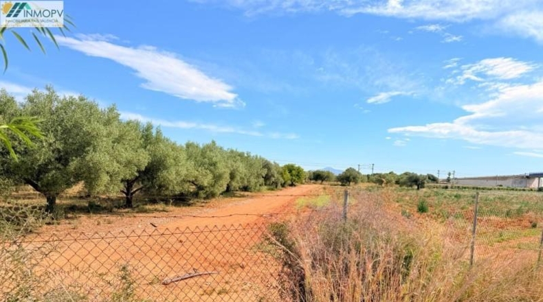 Castellón - Peñíscola - 3900m2