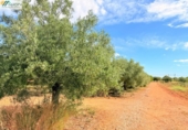 Terreno no urbanizable en venta en la España, Peñíscola, ref: TR412307 foto