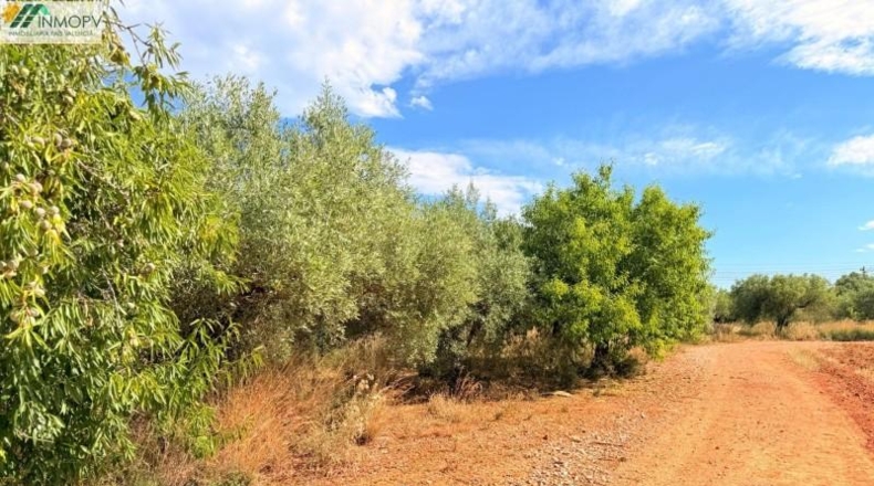 Castellón - Peñíscola - 3900m2