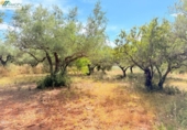 Terreno no urbanizable en venta en la España, Peñíscola, ref: TR412307 foto